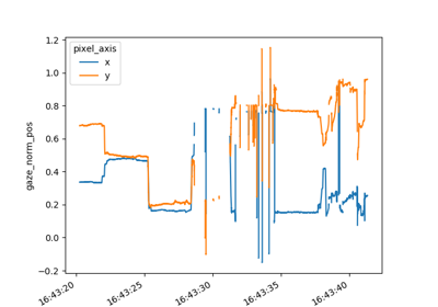 Gaze mapping pipeline